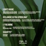 Orlo Focus & Memory Gummies – Nootropic Supplement for Adults with Lion’s Mane, L-Theanine, Phosphatidylserine, Spirulina, Vitamin B6 & B12 Methylcobalamin (60 Gummies) - Image 4