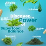 SUPERFOOD Balance - Premium Super Green Blend Capsules with Organic Spirulina, Moringa, Fenugreek, Chlorella & Antioxidant-Rich Greens - Vegan, Gluten-Free, Non-GMO Daily Greens Supplement for Energy - Image 7