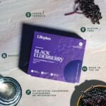 LIFEPLAN Black Elderberry Supplement - 60 Capsules - 81.66 Grams - Image 5