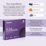 LIFEPLAN Black Elderberry Supplement - 60 Capsules - 81.66 Grams - Image 6