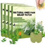 40Pcs Knee Pain Relief Patches Kit,Knee Patches for Pain Relief, Natural Herbal Relief Patches, Relieves Muscle Soreness, Neck, Shoulder - Image 2