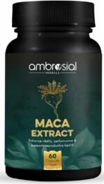 Ambrosial Maca Root Capsules for Women & Men - High Strength 500 Maca mg per Capsule, Supports Stamina & Energy - Natural Maca Root High Strength 60 Capsules - Image 2