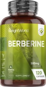 Berberine Supplement - 500mg per Capsule - 4 Months Supply - 120 Capsules - Berberine HCL Form - 1 per Day - Vegan-Friendly & Non-GMO - Sourced from Berberis Vulgaris - Image 2
