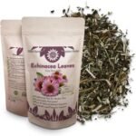 Echinacea 50g – Premium Loose Cut | Supports Immune Health, Helps Maintain Natural Inflammatory Response & Rich in Antioxidants for Overall Wellness | 100% Pure, Raw & Wild-Harvested - Image 2