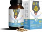 Focus & Memory Formula - Boosts Focus, Learn & Remember | Powerful Botanical Blend | Supports Brain Health in 5 Ways | Made in UK | 60 Capsules - Image 2