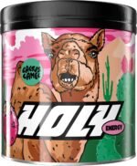 HOLY Energy Gaming Booster Flavour Powder | 50 portions with NewCaff & Green Tea Extract | Focus Booster - Focus Drink | Vegan with 100% natural fruit flavours (350 grams, Cactus Camel) - Image 2