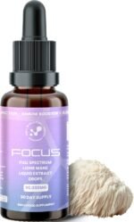 Lions Mane Full Spectrum Liquid Mushroom Drops Supplement, Super Strength 90,000mg (15:1), Increased Focus, Energy & Decreased Brain Fog, Natural & Suitable for Vegans - Image 2