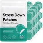 Stress Down Patches, Stress & Anxiety Relief, Botanical Plant-Based Formula, Help Deep Sleep, Suitable for Adults, 30PCS - Image 2