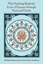 The Healing Book for Every Disease through Natural Herbs - Image 2