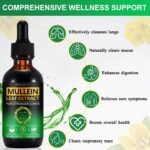 Mullein Drops for Lungs 60ML Mullein Leaf Extract & Chlorophyll Drops for Lung Cleanse Vegan & Health Supplements Fast Absorption - Image 3