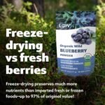 LOOV Organic Wild Blueberry Powder, Wild-Crafted from Nordic Forests, 100% Whole Fruit Bilberry, Freeze-Dried and Powdered Blueberries, No Added Sugar, 171 g - Image 5