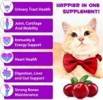 Cat Vitamins, 15 in 1 Cat Multivitamin Liquid Drops, Cats Vitamins and Supplements with Glucosamine and Probiotics, Bones, Joint, Skin & Coat, Bladder, Immune System Support, 60ML - Image 3