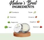 Clearly FOCUS Brain Booster Concentration Aid for Attention, Memory, Mental Clarity and Performance | Stay Sharp with an Uplifting Aromatherapy Essential Oil Brain Aid for Adults and Kids - Image 4