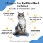 Pet Wellbeing Old Friend for Senior Cats - Supports Immune System Health, Joint Mobility, Healthy Energy Levels, Alfalfa, Reishi - Veterinarian-Formulated Herbal Supplement 2 oz (59 ml) - Image 4