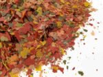 HERONS - Tropical Flakes - For all Tropical Fish - Guppies, Bettas, Neons, Cichlids, Angelfish, Swordtails - Multi-Nutrient Complex - Supports Growth, Colouration and Immune System - 100 Grams - Image 4