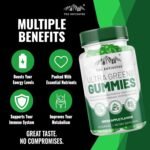 The Antidotes Ultra Greens Gummies – Super Greens Supplement with Probiotics & Digestive Enzymes – Boost Energy, Digestion & Immunity – Sugar-Free & Delicious – 120 Apple Flavour Vegan Gummies - Image 6
