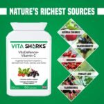 VitaDefence+ Vitamin C - Bespoke Potent & Comprehensive All-in-One Vegan Anti-Oxidant Formula to Defend, Support & Boost Overall Immunity - Kosher - Image 3