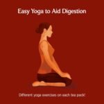 Yogi Tea, Stomach Ease, Organic Herbal Tea, Naturally Caffeine Free, Blend of Cardamom, Fennel and Ginger, 6 Packs x 17 Tea Bags (102 Teabags Total) - Image 4