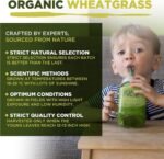 Wheatgrass Capsules | Organic | 1500mg per Serving | 180 Capsules | High Chlorophyll Content | MySuperfoods - Image 4