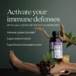 New Chapter Elderberry Syrup, 24 Servings, Immune Defense for Kids (4+) & Adults, 64x Concentrated Black Elderberry + Grade A Honey, No Corn Syrup, Non-GMO, Gluten Free - Image 4