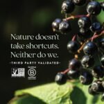 New Chapter Elderberry Syrup, 24 Servings, Immune Defense for Kids (4+) & Adults, 64x Concentrated Black Elderberry + Grade A Honey, No Corn Syrup, Non-GMO, Gluten Free - Image 5