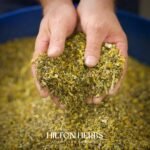 Hilton Herbs Equimmune Natural Equine Supplement. 100% Natural Supplement. Immunity Supplement for Horses. Echinacea-Rich Formula. 1kg - Image 9