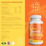 Grounded Beta Carotene Tanning Tablets | 120 Tablets, 4 Month Supply | with Zinc, Vitamin A, B2, B3, Copper & Iodine | High Strength Antioxidant Support | Vegan-Friendly & Made in The UK - Image 6