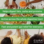 CURAZYME Vital (30 Capsules) Digestive Enzymes Supplement for Gut Health Support, Basic Digest Formula for Bloating, Heartburn, Digestion Relief, Ideal for Sensitive Stomachs, Vegan - Image 3