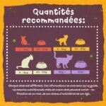 Benevo Vegan Cat Food Dry (10kg) Unlock The Power Of Plant Based Nutrition, With Essential Nutrients & Vitamins A, B, D, E & K, Award Winning Dry Cat Food, Approved By PETA & Vegan Society UK - Image 4