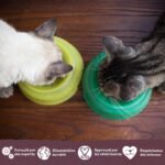 Benevo Vegan Cat Food Dry (10kg) Unlock The Power Of Plant Based Nutrition, With Essential Nutrients & Vitamins A, B, D, E & K, Award Winning Dry Cat Food, Approved By PETA & Vegan Society UK - Image 6