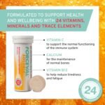 Effervescent Multivitamin Tablets, 24 Key Vitamins and Minerals Including Vitamin C, B and D, Iron and Zinc. One Effervescent Tablet a Day. for Adults and Children 12+. Pack of 30 - Image 4