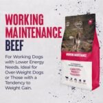 Alpha Adult Alpha Working Maintenance Dry Dog Food | Complete Nutrition for Older, Overweight or Less Active Dogs | British Beef, 15kg - Image 3
