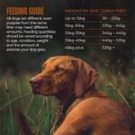 Alpha Adult Alpha Working Maintenance Dry Dog Food | Complete Nutrition for Older, Overweight or Less Active Dogs | British Beef, 15kg - Image 6