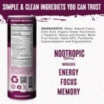 Wild Society Natural Energy Drink + Nootropics (12 pack) - 100 mg Organic Caffeine from Green Tea - Zero Sugar & Zero Calories - Monk Fruit Sweetened - Clean Ingredients - Fuel Mind & Body - Black - Image 5