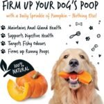 Bugalugs Pumpkin Powder For Dogs- 100% Pure Pumpkin Powder Dog Food Topper, Pumpkin Puree Powder Naturally Rich in Prebiotics & Fibre for Dogs Gut Health & Healthy Stools 200g - Image 3
