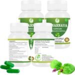 Punarnava Capsules (Boerhaavia Diffusa) 500mg – 60 Veg Capsules | Herbal Wellness Supplement for Natural Kidney & Liver Support | Plant-Based Detox & Cleansing Formula | Pack of 4 - Image 3