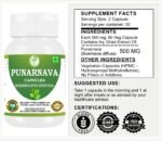 Punarnava Capsules (Boerhaavia Diffusa) 500mg – 60 Veg Capsules | Herbal Wellness Supplement for Natural Kidney & Liver Support | Plant-Based Detox & Cleansing Formula | Pack of 4 - Image 4