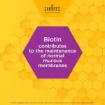 Zarbee’s Adult Immune Support, 120 ml, To Support the Immune System* daily, Honey-Based, No Artificial Colours or Flavours, Multivitamin - Image 4