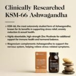 Ashwagandha – Superior KSM 66 Ashwagandha Root Extract – Blended with Zinc & Magnesium – Supports Immune System & Cognitive Function – 60 Capsules – 30 Servings - Image 3