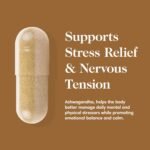 Ashwagandha – Superior KSM 66 Ashwagandha Root Extract – Blended with Zinc & Magnesium – Supports Immune System & Cognitive Function – 60 Capsules – 30 Servings - Image 4