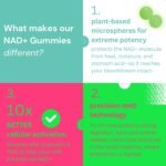 NAD+ Gummies 800mg Niacinamide | Flush-Free B3, B12, Quercetin, L-Tryptophan & Resveratrol | Sugar-Free, Vegan NAD Supplement for Energy, Focus, Aging & Cellular Repair. 90 Gummies - Image 5