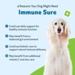 Pet Wellbeing Immune Sure for Dogs & Cats - Supports Normal Immune Defenses, Gut Flora Balance, Andrographis, Echinacea, Vitamin C, Zinc - Veterinarian-Formulated Herbal Supplement 4 oz (118 ml) - Image 4