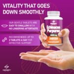 Premium UK Echinacea Whole Plant Extract Tablets 240 Tablets of Maximum Strength 4000mg | Double Extraction for Advanced Immune Support, Non-GMO, Made in The UK - Image 4