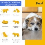 Pre Probiotic Digestion Supplement Treats for Dogs - Science Backed, UK Made and Vet Approved - Improve Gut Health, Immune Support, Sensitive Tummys, Smell - 30 Chews - Image 4
