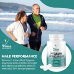 Vinco Pygeum Africanum 4,000mg Equivalent - 200mg of 20:1 Extract - 120 High Strength Capsules - 13% phytosterols - Prostrate Health Supplement - Non-GMO & Gluten Free – Made in UK - Image 3