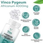 Vinco Pygeum Africanum 4,000mg Equivalent - 200mg of 20:1 Extract - 120 High Strength Capsules - 13% phytosterols - Prostrate Health Supplement - Non-GMO & Gluten Free – Made in UK - Image 5