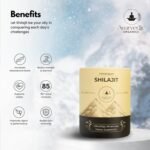 Pure Himalayan Shilajit Resin 30g with Ashwagandha, Curcumin, Gokshura & Safed Musli - Natural Energy Booster - Lab Tested - Rich in Fulvic and Humic Acid - Image 3