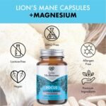 Lion’s Mane Plus Magnesium Capsules | Cognitive & Relaxation Support | Vegan, Made in UK (60 Capsules) - Image 4