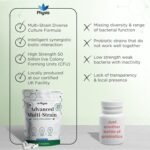 Physis Probiotics, for Gut Health, Digestion, Bloated Stomach Relief, 30 Capsules (1 Month Supply) - Image 7