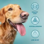 Burns Pet Nutrition Hypoallergenic Complete Dry Dog Food Adult and Senior Dog Original Chicken and Brown Rice, 12 kg - Image 4